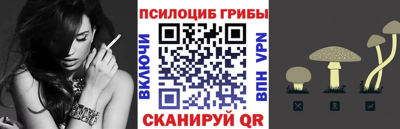 Купить  Нязепетровск  Галлюциногенные грибы Psilocybe 