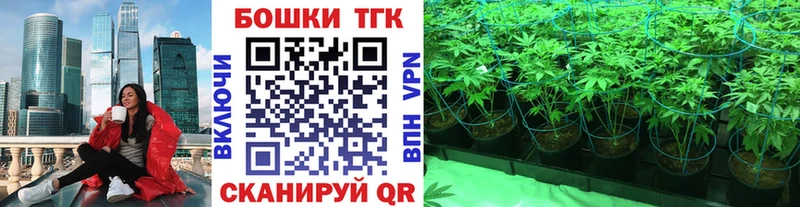 Купить закладки  Нязепетровск  Каннабис семена 